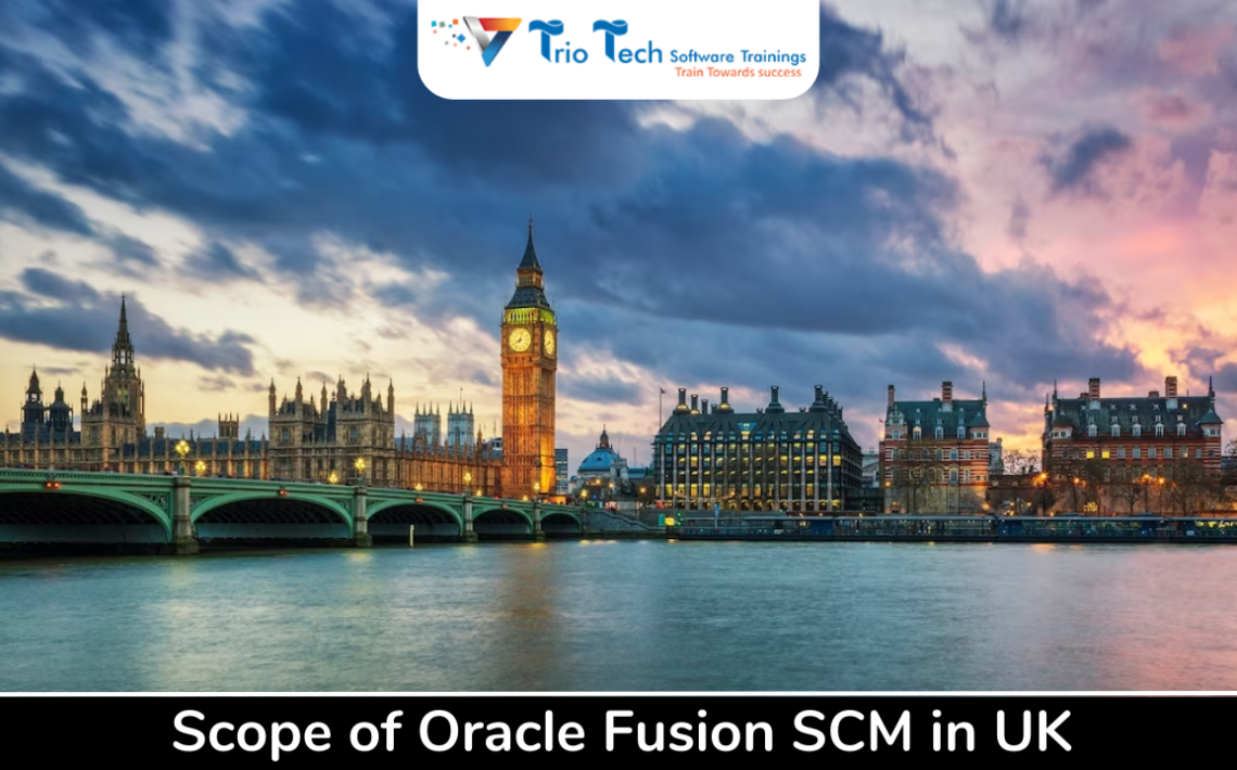 Scope of oracle fusion financials in UK